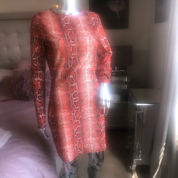 Orange python print stretch dress - Picture 1 of 5